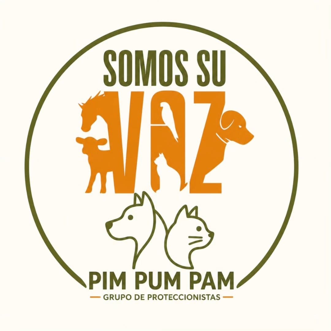 Adoptá un animal rescatado